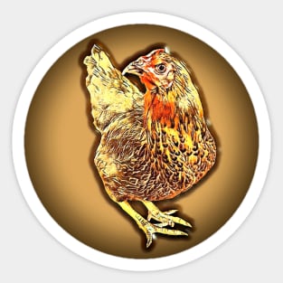 Golden Hen looking at you Sticker